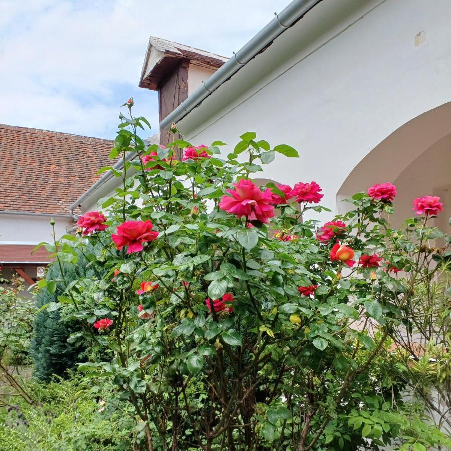 Blues Ryokan Koszeg Ngoại thất bức ảnh