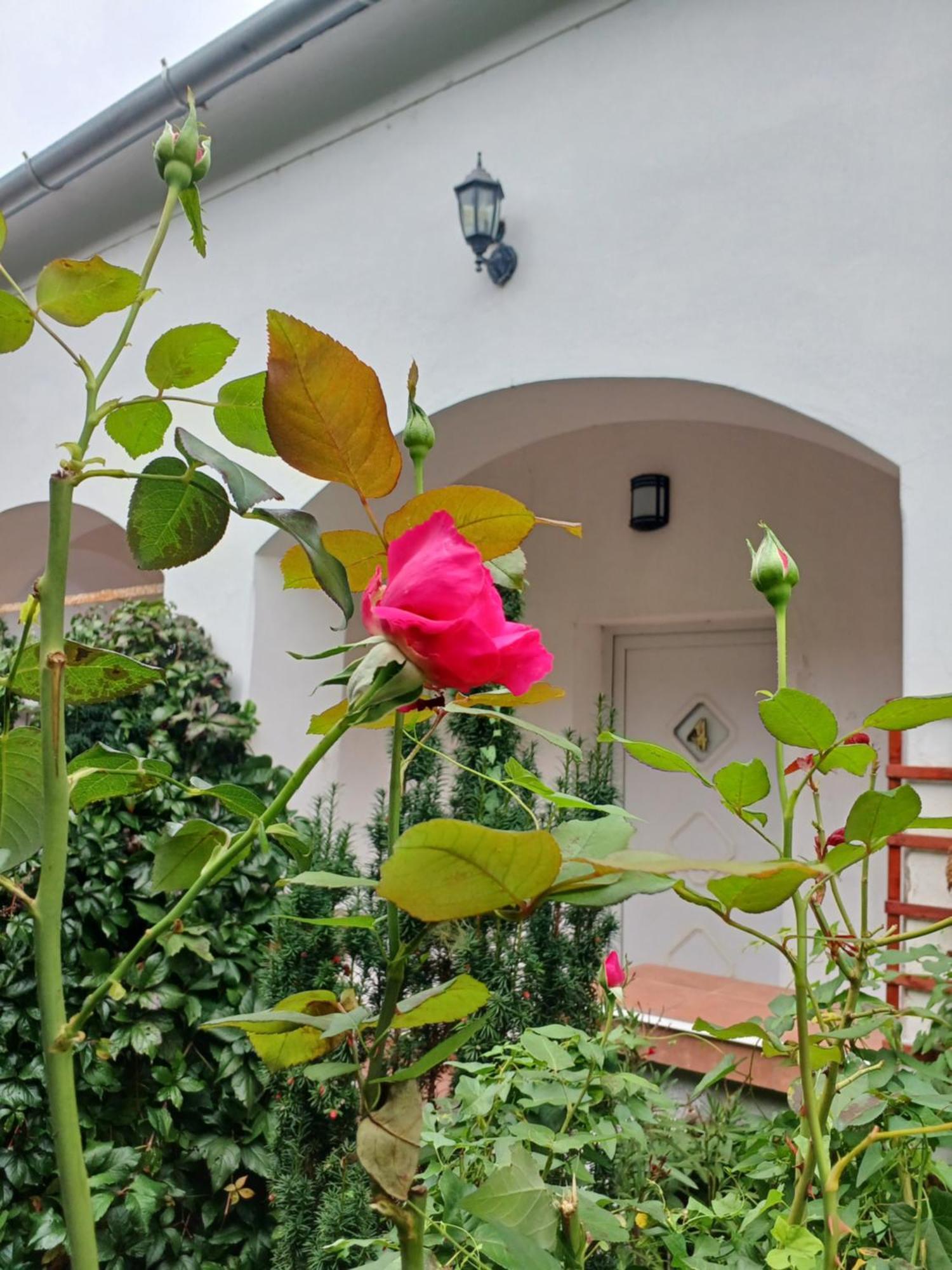 Blues Ryokan Koszeg Ngoại thất bức ảnh